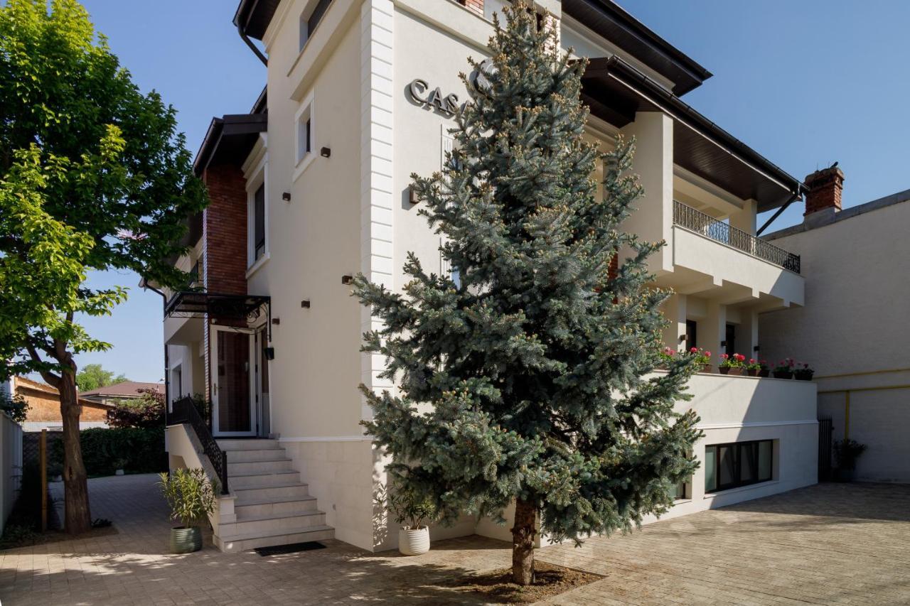 Pensiunea Casa Sturza 4* Bacău